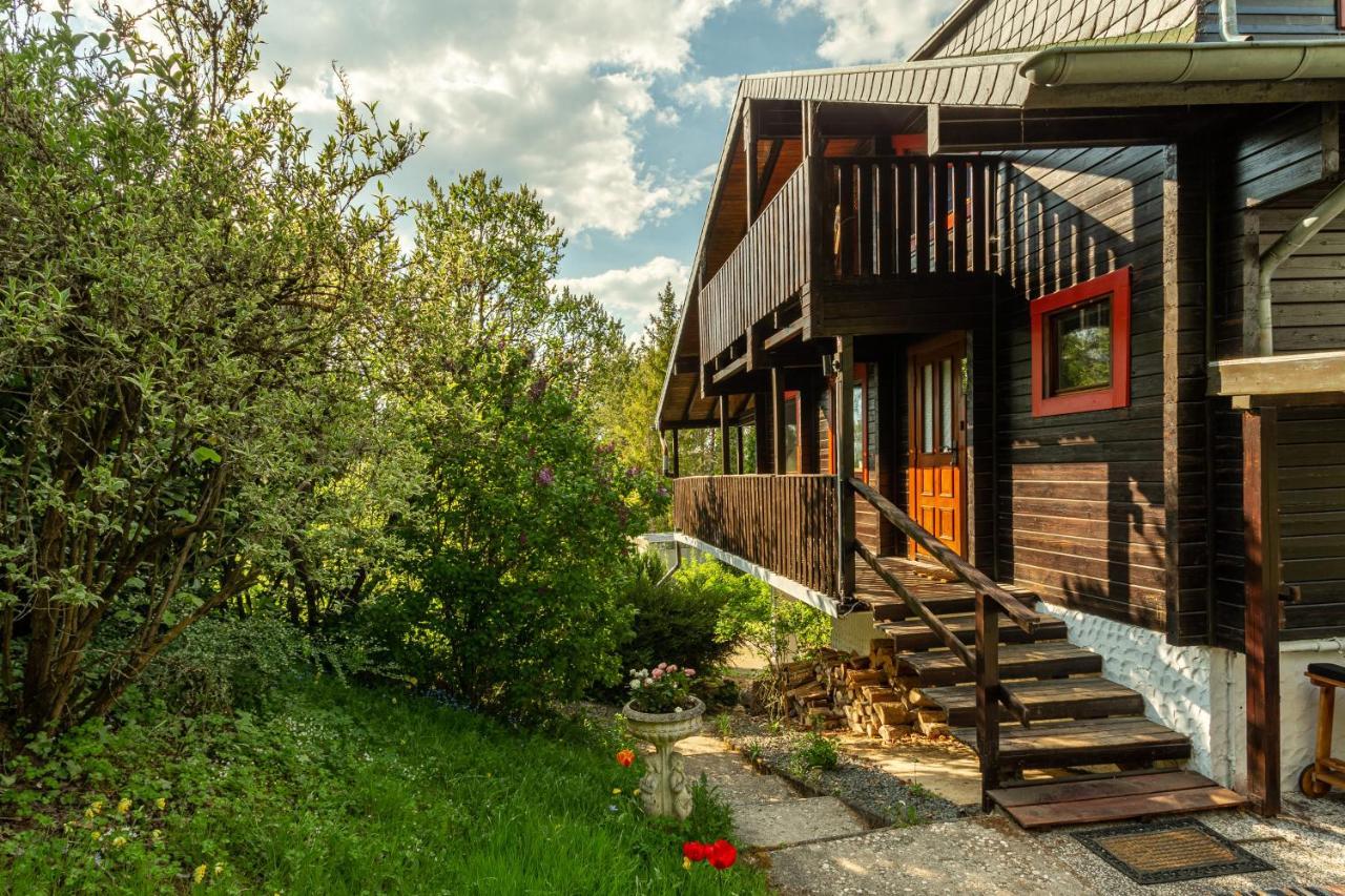 Blockhaus Eifelsteig W/ Kamin Garten & Feuerstelle Berndorf  المظهر الخارجي الصورة